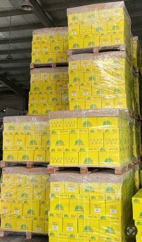 Giấy in ACCURA PLUS A4 - 70gsm